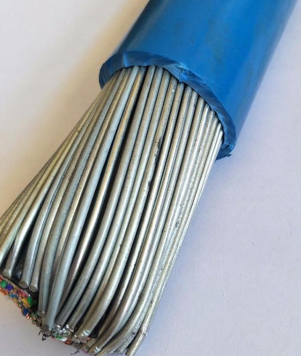 本安計算機電纜IA-DJYPVP-32